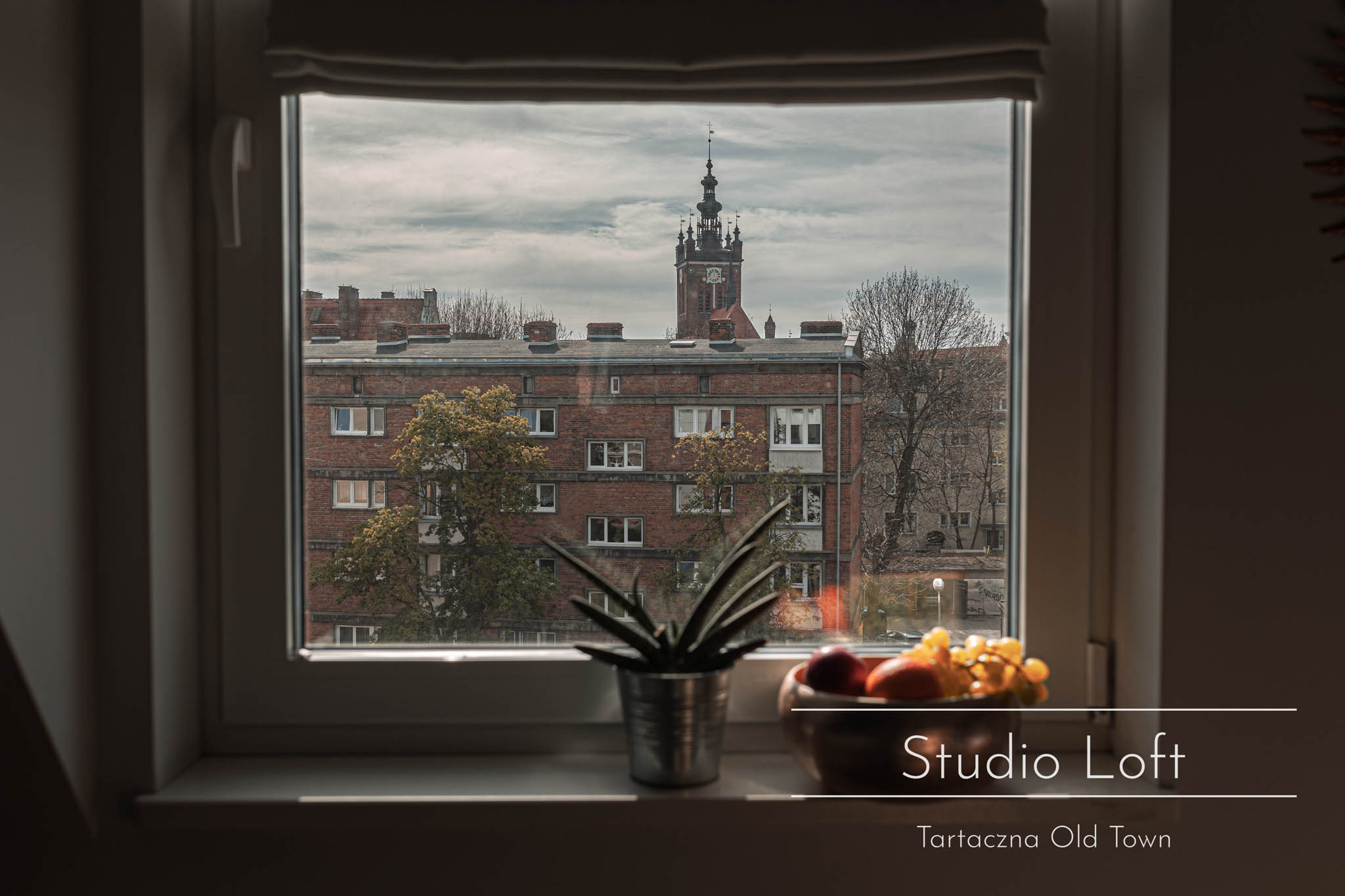 Studio Loft z Patio miniatura 3